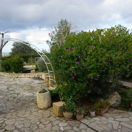 Anthos In Tepebasi * Myrtou