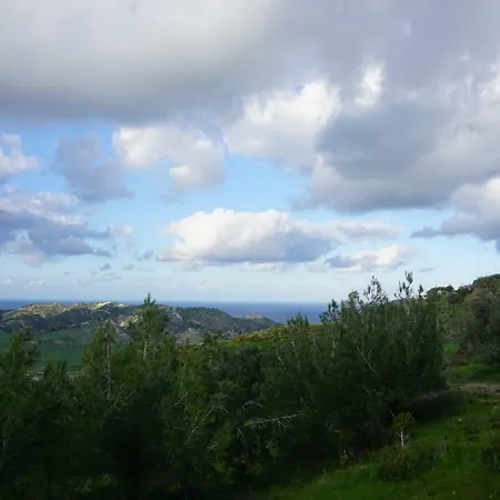 Anthos In Tepebasi Myrtou