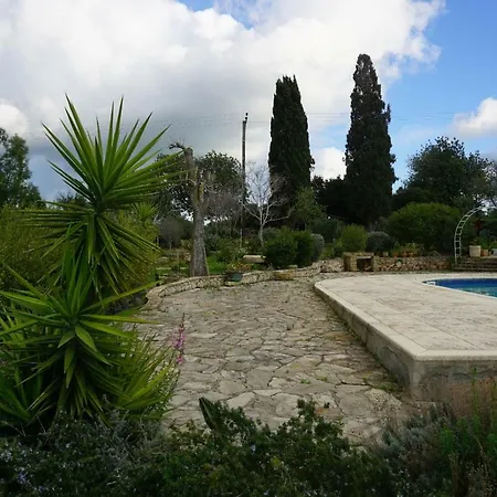 Anthos In Tepebasi Myrtou